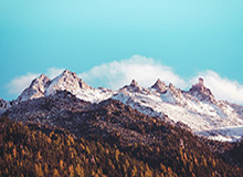 职业联盟有望4月挂牌 争议判罚将进行评判公开